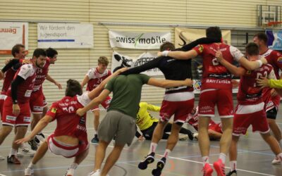 Spielvorschau M2-1. Liga TSV Frick – SG Horgen/Wädenswil Samstag 19.9.2020, 18:30 Uhr Frick Ebnet