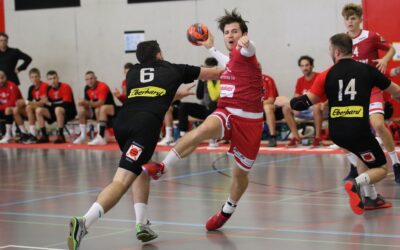 Vorschau 1. Liga: SG Horgen/Wädenswil – TSV Frick