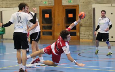 Spielbericht: 1. Liga M1-02, HSG Leimental – SG Horgen/Wädenswil 29:30 (17:18)