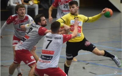 Wädenswil/Horgen steht hinter Verband ZSZ 12.04.2021