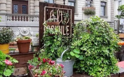 Noch ein letztes Mal