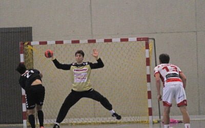Spielbericht: NLB:  SG Wädenswil-Horgen : TV Steffisburg  26:21 (12:12)