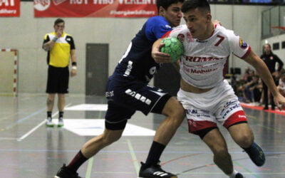 Spielbericht: NLB SG Wädenswil/Horgen – BSV Stans 29:27 (17:14)