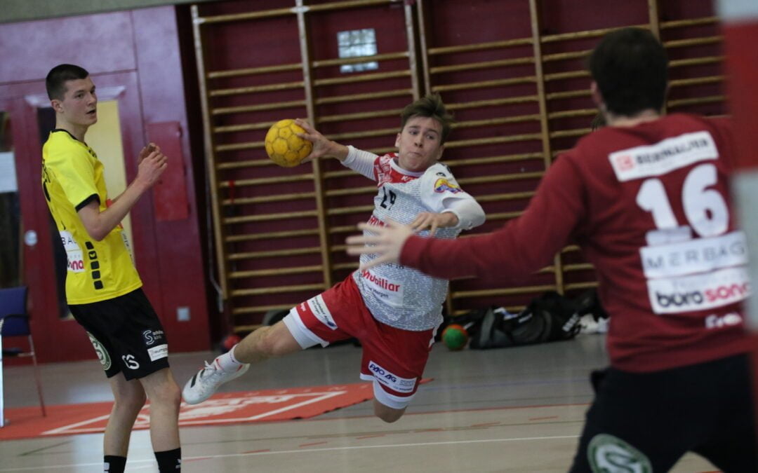 Spielbericht: 1. Liga: M1-01-Ab, SG Horgen/Wädenswil – Handball Stäfa 26:31 (11:16)
