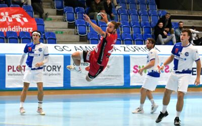 Spielbericht: NLB: SG GC Amicitia/HC Küsnacht – SG Wädenswil-Horgen 30 : 35 (16:19)