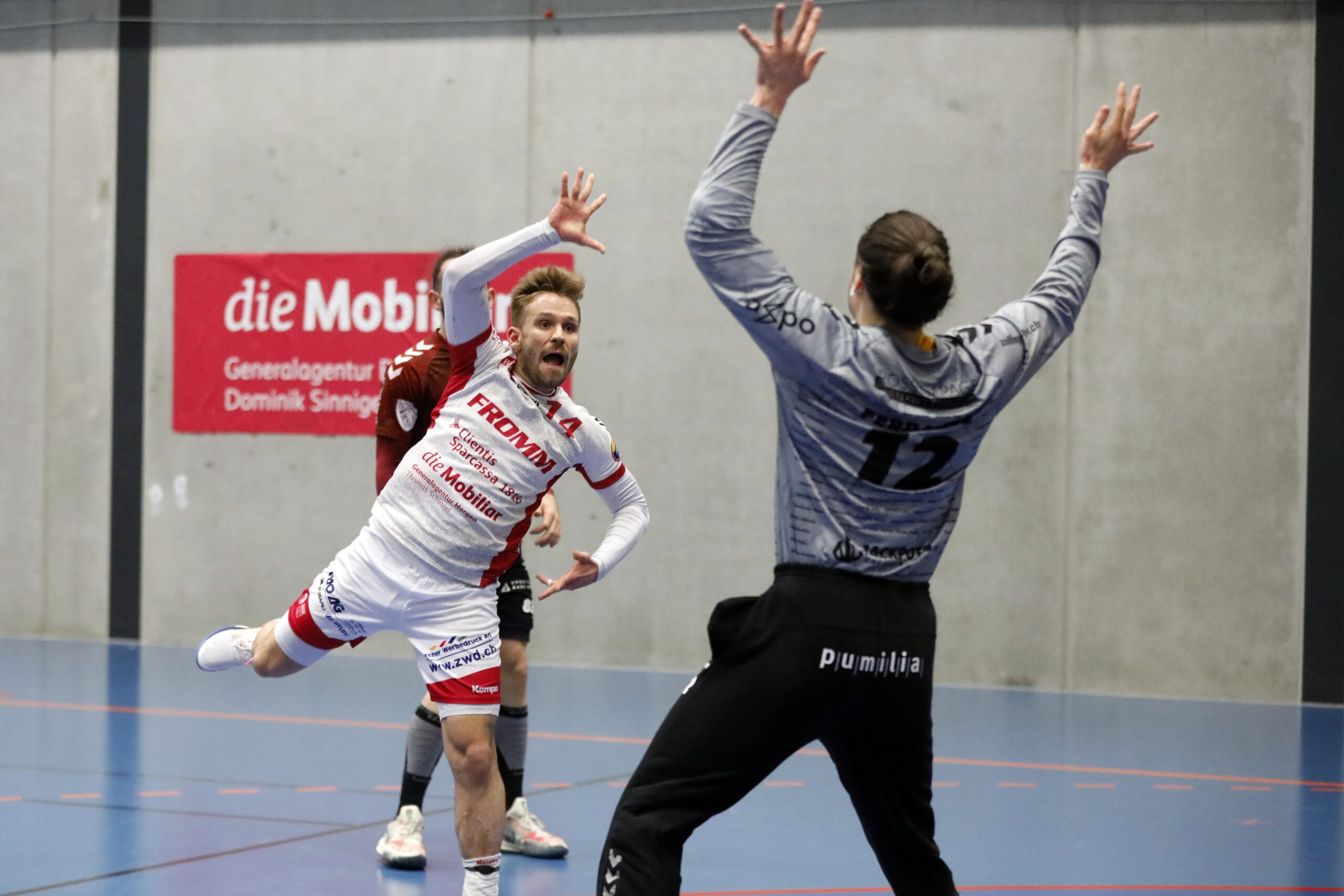 Vorschau: NLB: SG Wädenswil-Horgen – Handball Endingen