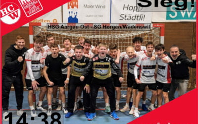 Spielbericht MU17 Inter: HSG Aargau Ost – SG Horgen/Wädenswil