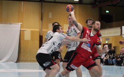 Spielbericht NLB: Handball Emmen – SG Wädenswil/Horgen