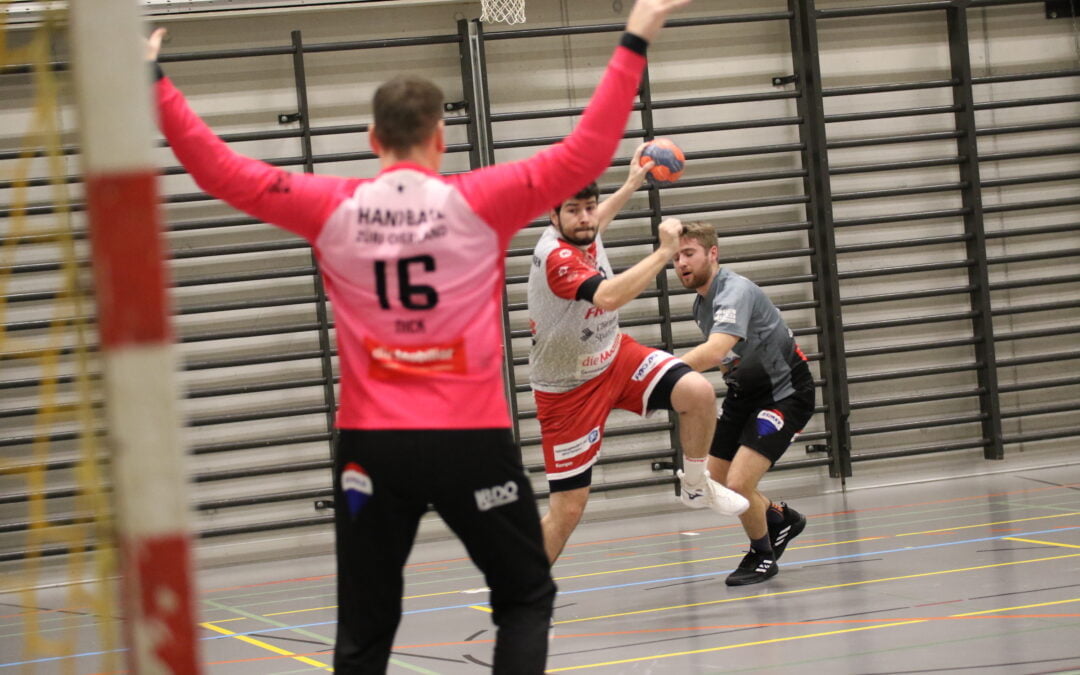 Spielbericht M2-02: SG Horgen/Wädenswil – SG Handball Züri Oberland