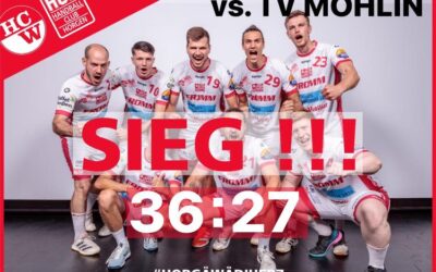 Spielbericht NLB: SG Wädenswil/Horgen – TV Möhlin