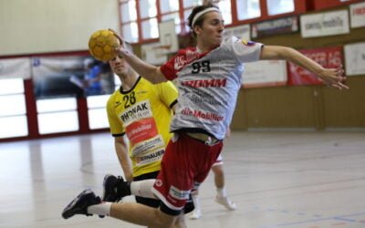Vorschau: 2. Liga: M2-02, SG Horgen/Wädenswil – Handball Stäfa, Samstag 18. Februar 2023, 16:00Uhr, Horgen Waldegg