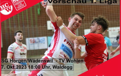 Vorschau 1. Liga: SG Horgen/Wädenswil – TV Wohlen
