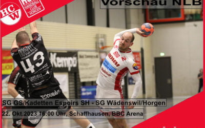 Vorschau NLB: SG GS/Kadetten Espoirs SH – SG Wädenswil/Horgen