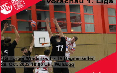 Vorschau 1. Liga: SG Horgen/Wädenswil – TV Dagmersellen