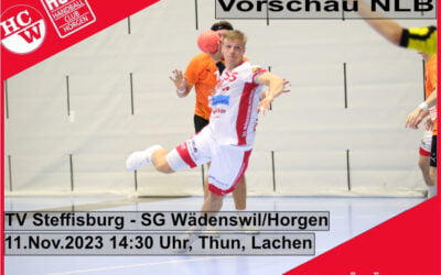 Vorschau NLB: TV Steffisburg – SG Wädenswil/Horgen