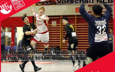 Vorschau NLB: SG Wädenswil/Horgen – Handball Stäfa