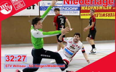 Spielbericht 1. Liga: STV Willisau – SG Horgen/Wädenswil