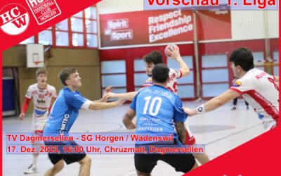 Vorschau 1.Liga: TV Dagmersellen – SG Horgen/Wädenswil