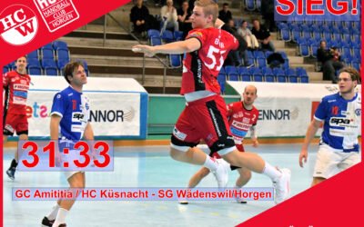 Spielbericht NLB: GC Amititia / HC Küsnacht – SG Wädenswil/Horgen