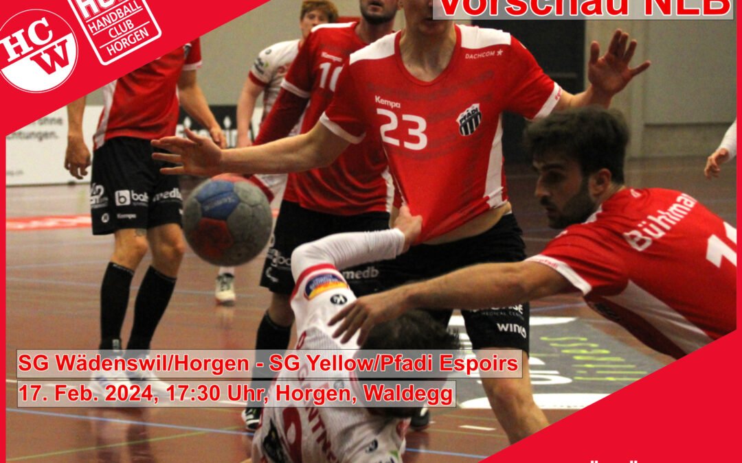 Vorschau NLB: SG Wädenswil/Horgen – SG Yellow/Pfadi Espoirs