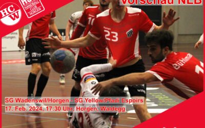 Vorschau NLB: SG Wädenswil/Horgen – SG Yellow/Pfadi Espoirs