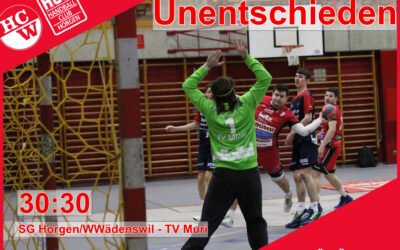Spielbericht 1.Liga: SG Horgen/Wädenswil – TV Muri