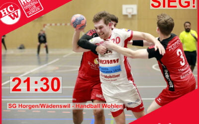 Spielbericht 1. Liga: Handball Wohlen – SG Horgen/Wädenswil