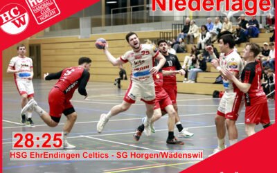 Spielbericht 1. Liga: EhrEndingen Celtics – SG Horgen/Wädenswil