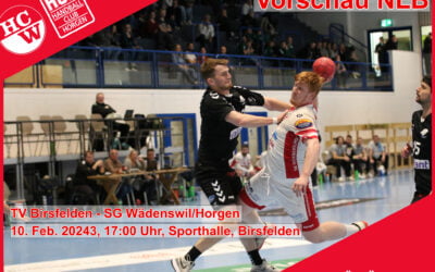 Vorschau NLB: TV Birsfelden – SG Wädenswil/Horgen