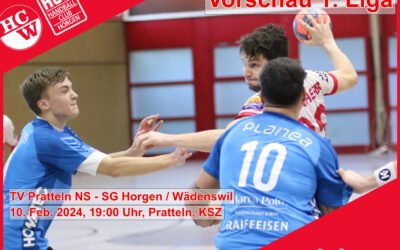 Vorschau 1. Liga: TV Pratteln NS – SG Horgen/Wädenswil