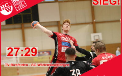 Spielbericht NLB: TV Birsfelden – SG Wädenswil/Horgen