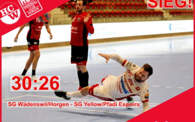 Spielbericht NLB: SG Wädenswil/Horgen – SG Yellow/Pfadi Espoirs