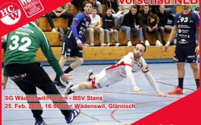 Vorschau NLB: SG Wädenswil/Horgen – BSV Stans
