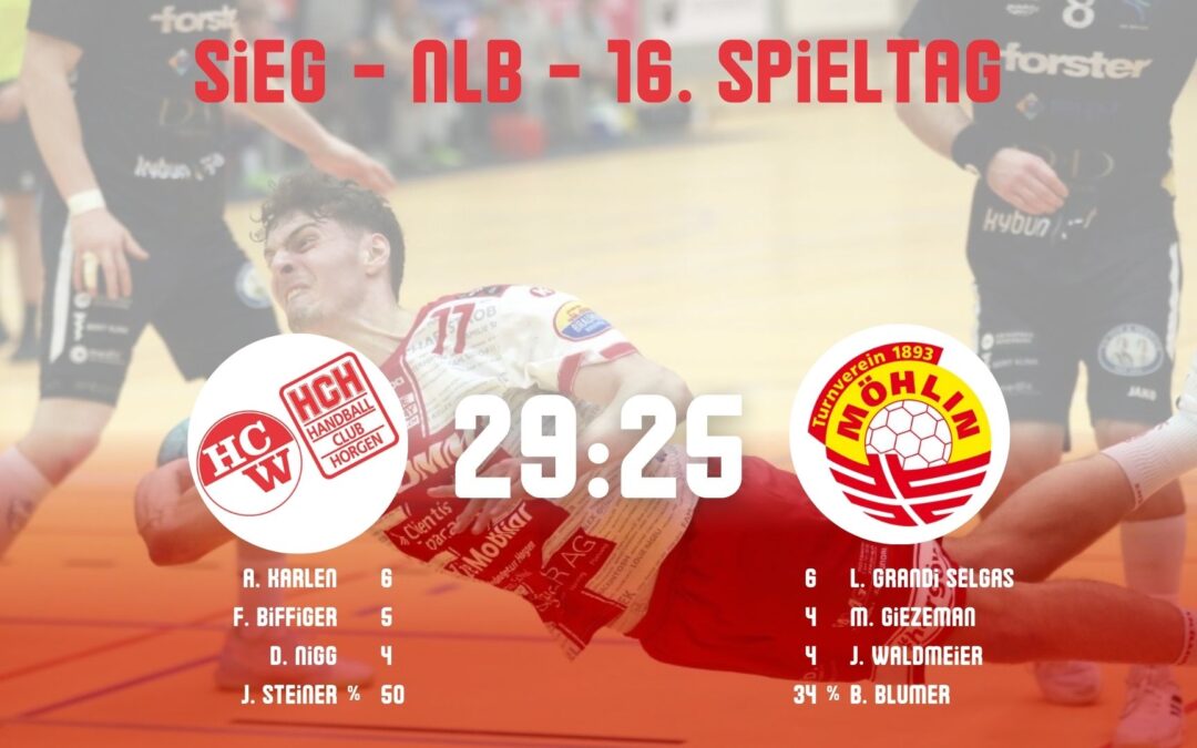 Spielbericht NLB: SG Wädenswil/Horgen – TV Möhlin