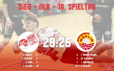 Spielbericht NLB: SG Wädenswil/Horgen – TV Möhlin