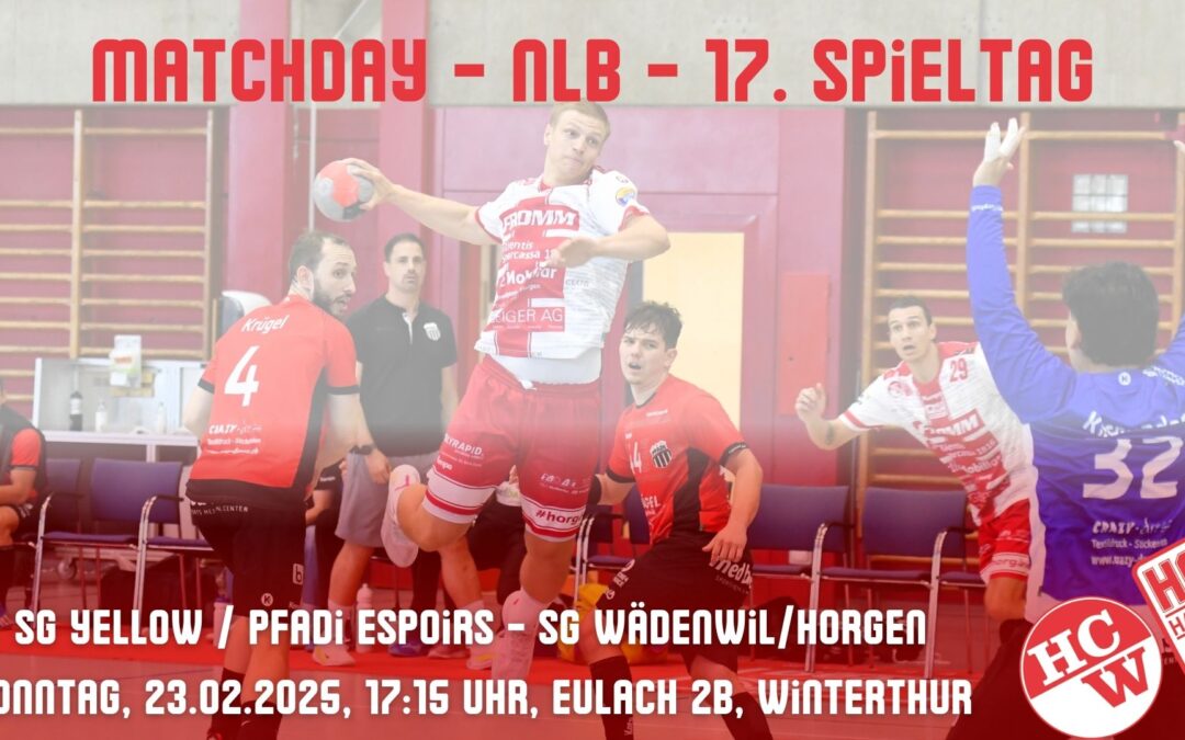 Vorschau NLB: SG Yellow / Pfadi Espoirs – SG Wädenswil/Horgen