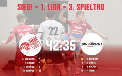 Spielbericht 1. Liga: SG Horgen/Wädenswil – STV Willisau