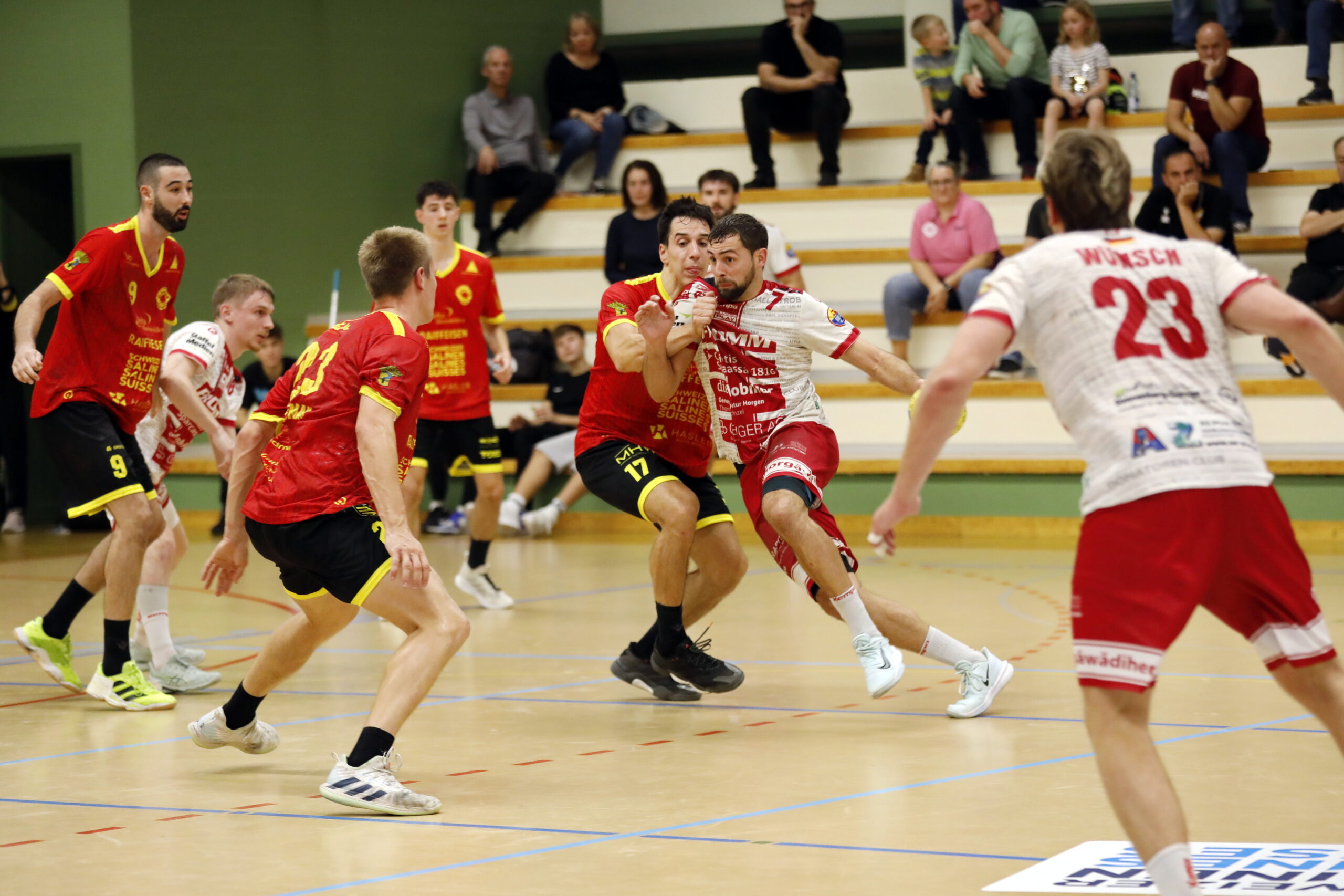 20251025_NLB_TV Möhlin - SG WädenswilHorgen_2