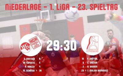 Spielbericht 1. Liga: SG Horgen/Wädenswil – SG Handball Seetal