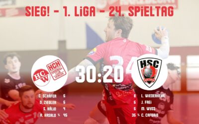 Spielbericht 1. Liga: SG Horgen/Wädenswil – SG HSG Suhr Aarau